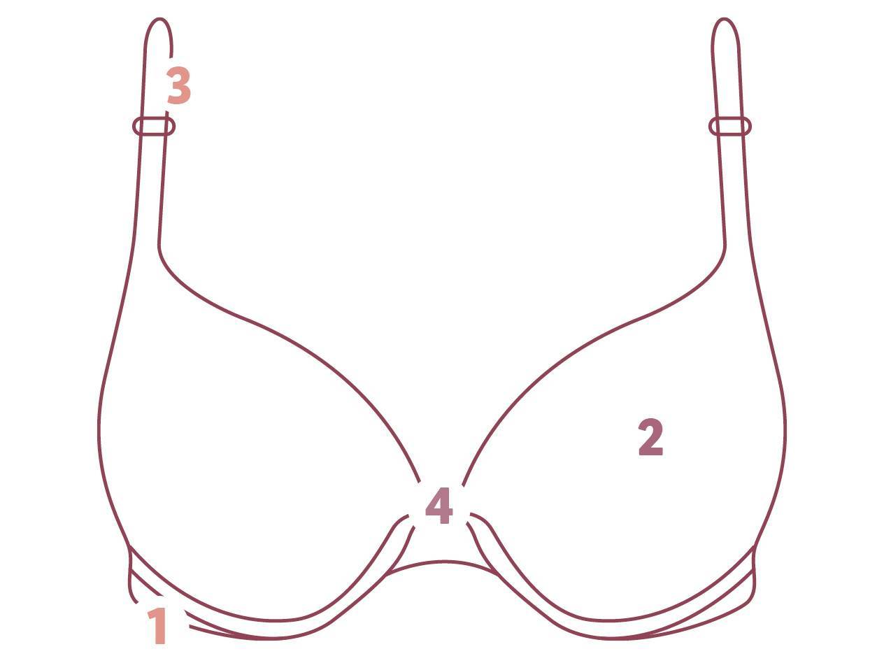 Bra: cups, underwire, straps.