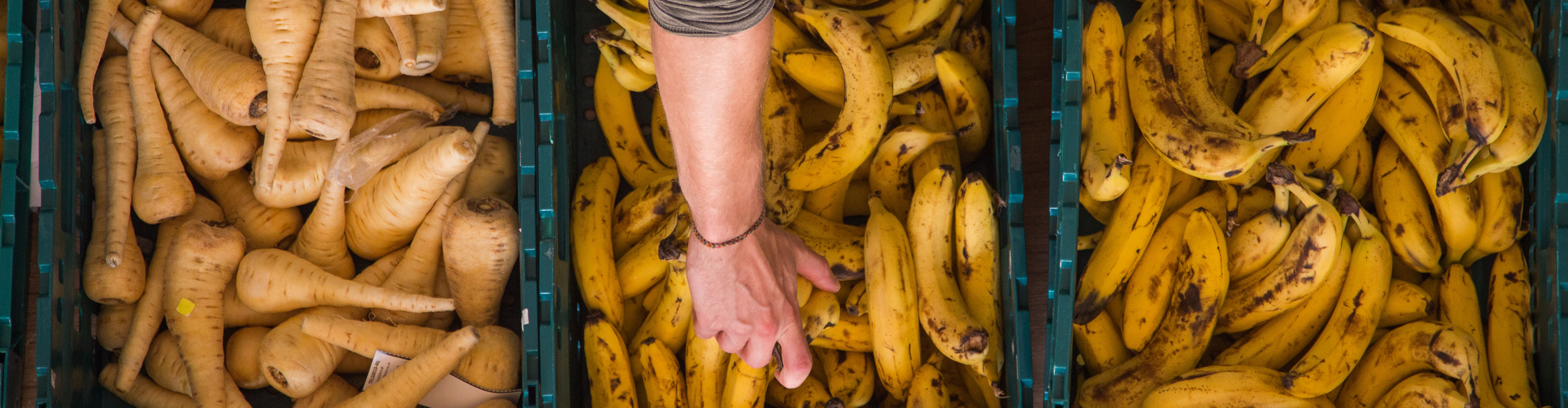 Bananas and parsnips in crates.