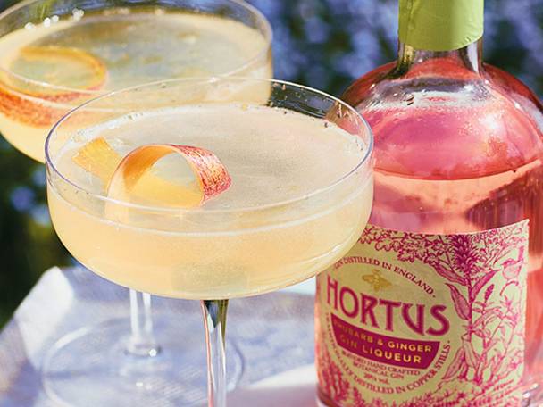 Cocktails featuring Hortus rhubarb & ginger liqueur.