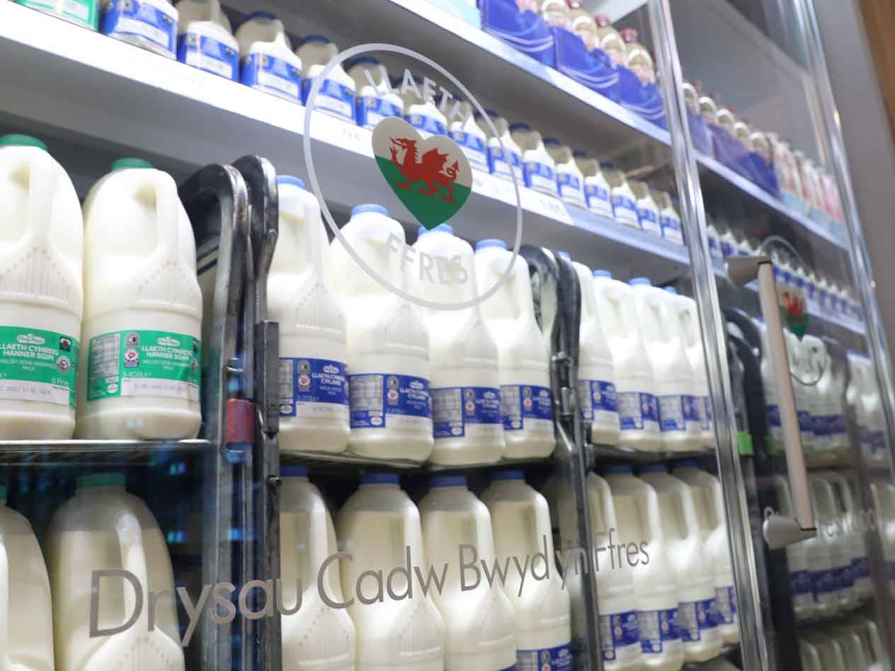 Milk in bottles, Llaeth Cymreig brand.