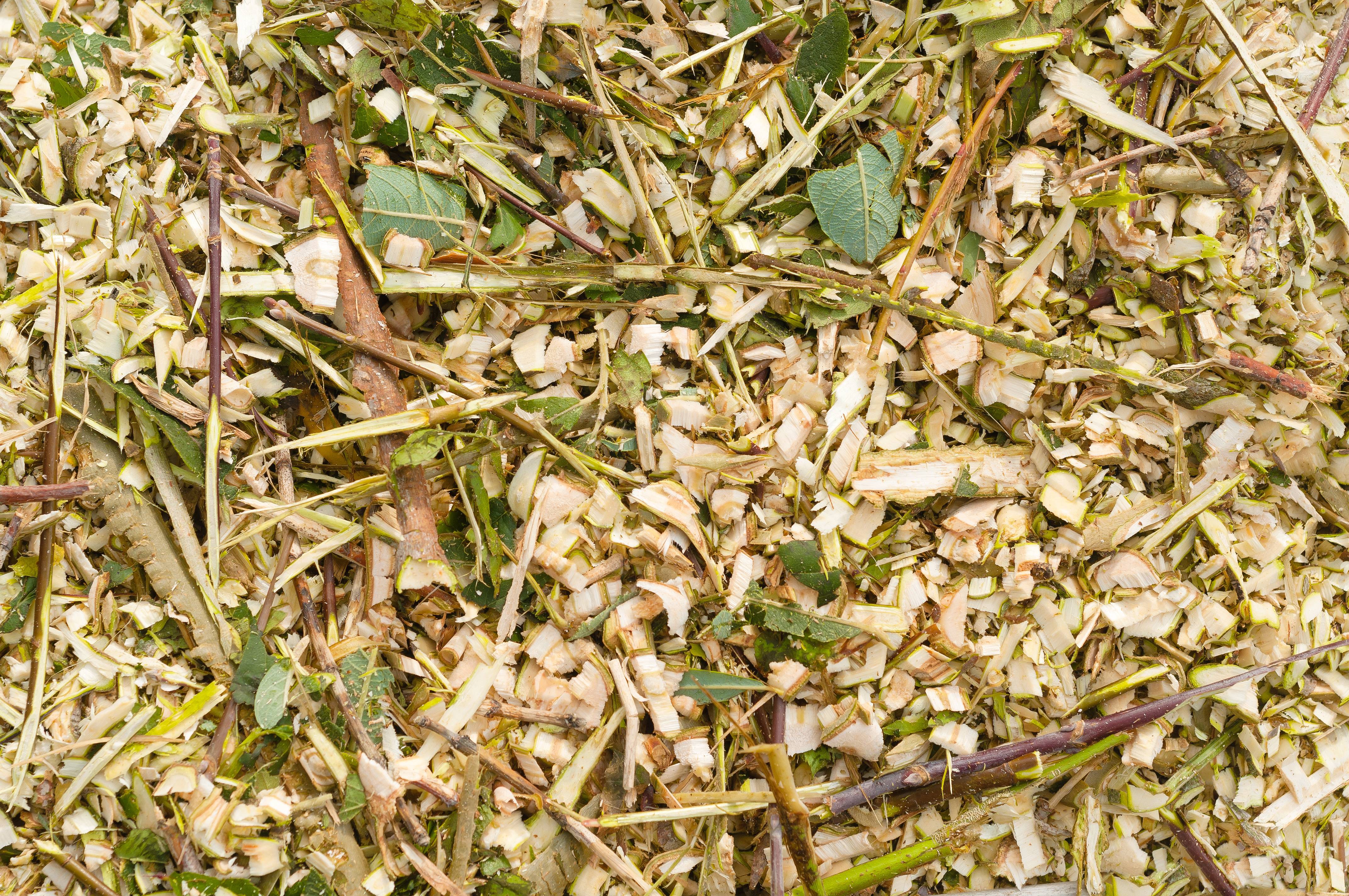 Shredded wood and leaves.